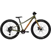 Dětské horské kolo Cannondale Trail Plus 24
