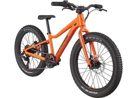 Dětské horské kolo Cannondale Trail Plus 20