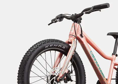 Dětské horské kolo Cannondale Trail Plus 20
