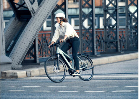 Elektrokolo Riese & Müller Roadster4 Mixte Vario HS, Salvia Matt, 53 cm