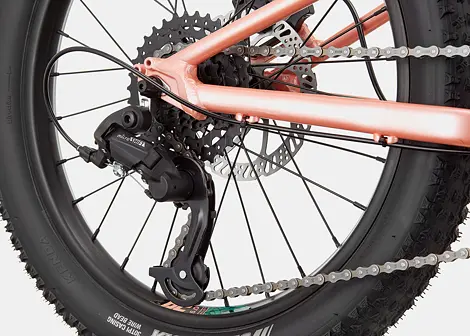 Dětské horské kolo Cannondale Trail Plus 20
