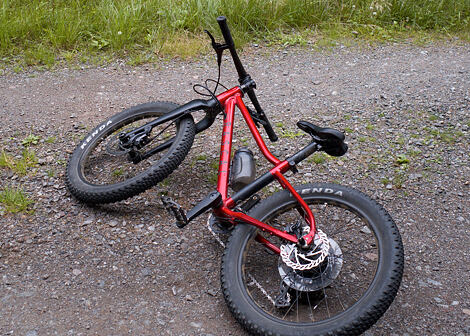 Dětské horské kolo Rascal Wild 20