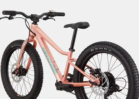 Dětské horské kolo Cannondale Trail Plus 20