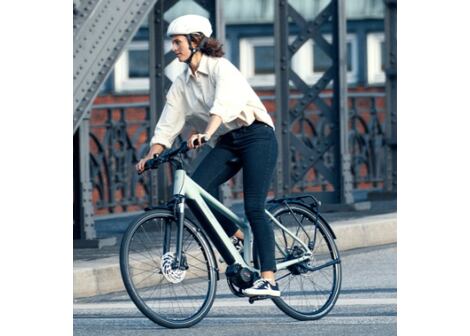 Elektrokolo Riese & Müller Roadster4 Mixte Vario HS, Salvia Matt, 53 cm