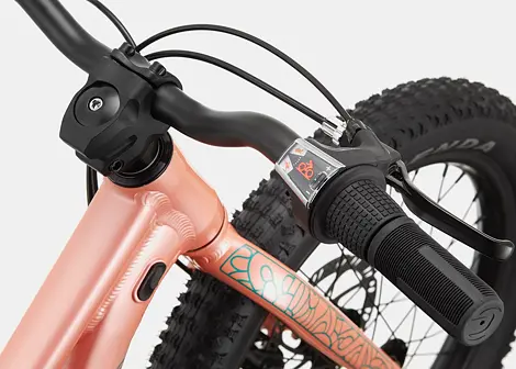 Dětské horské kolo Cannondale Trail Plus 20