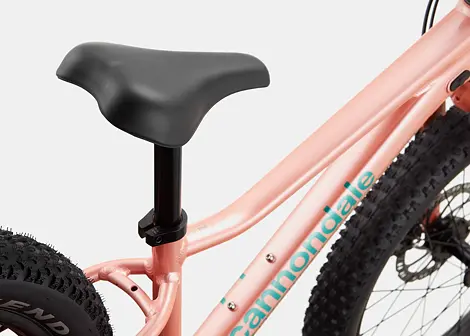 Dětské horské kolo Cannondale Trail Plus 20