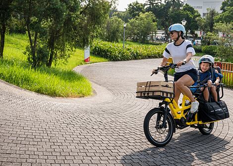 Cargo skládací elektrokolo Tern GSD S10