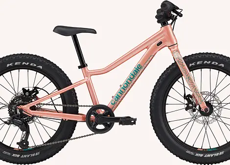 Dětské horské kolo Cannondale Trail Plus 20