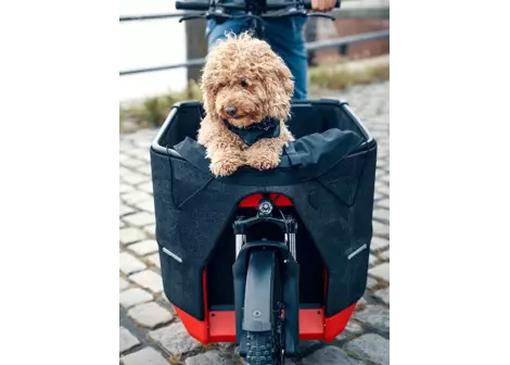 Nákladní elektrokolo Riese & Müller Packster 70 Family, Chili Matt