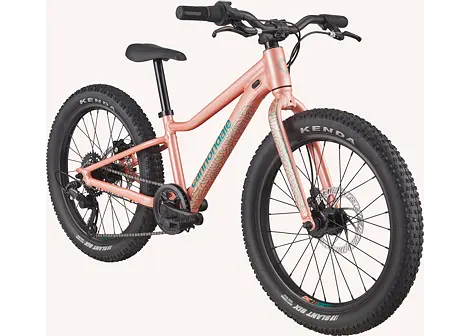 Dětské horské kolo Cannondale Trail Plus 20