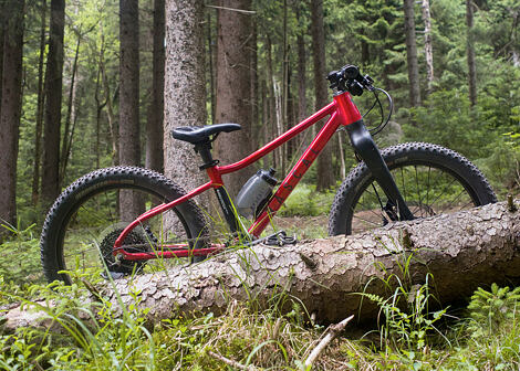 Dětské horské kolo Rascal Wild 20