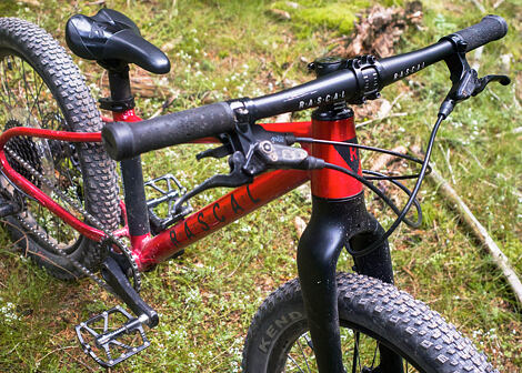 Dětské horské kolo Rascal Wild 20