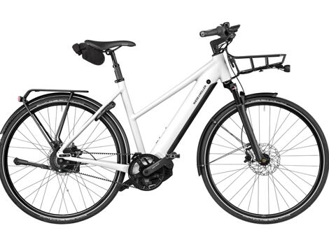 Elektrokolo Riese & Müller Roadster4 Mixte Vario HS, Salvia Matt, 53 cm