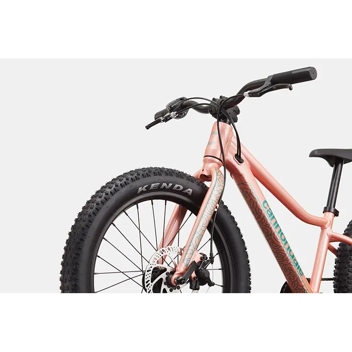 Dětské horské kolo Cannondale Trail Plus 20