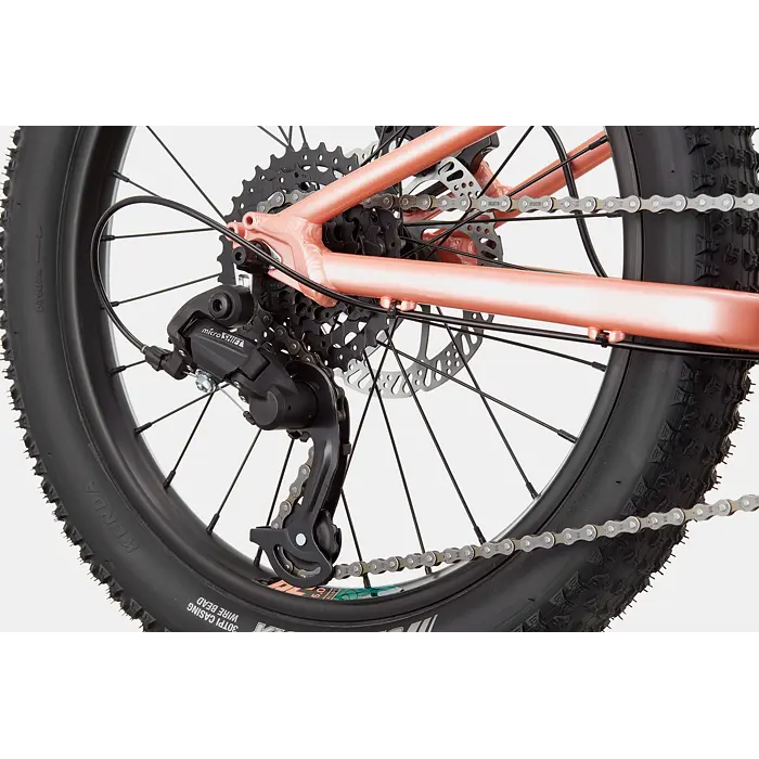 Dětské horské kolo Cannondale Trail Plus 20
