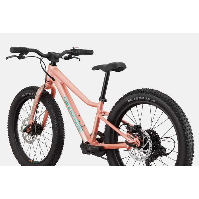 Dětské horské kolo Cannondale Trail Plus 20