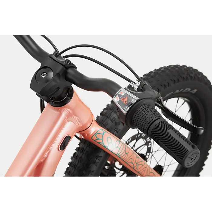 Dětské horské kolo Cannondale Trail Plus 20
