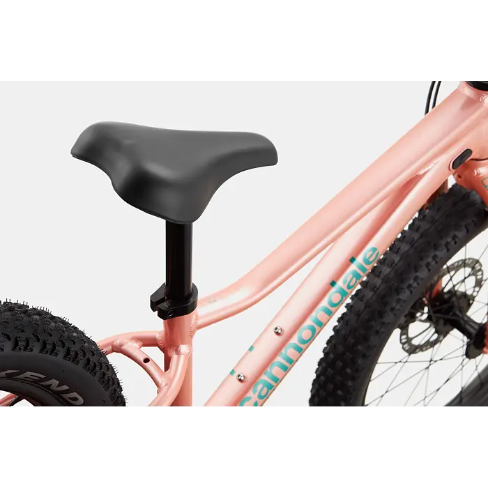 Dětské horské kolo Cannondale Trail Plus 20