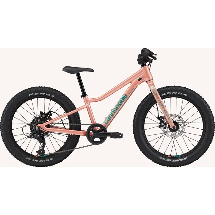 Dětské horské kolo Cannondale Trail Plus 20