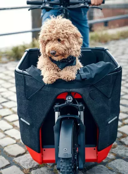 Nákladní elektrokolo Riese & Müller Packster 70 Family, Chili Matt