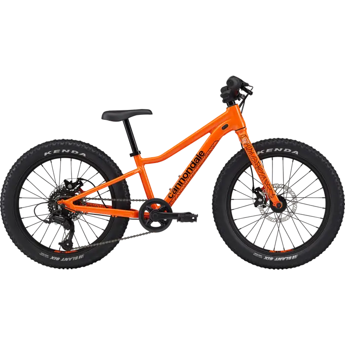 Dětské horské kolo Cannondale Trail Plus 20