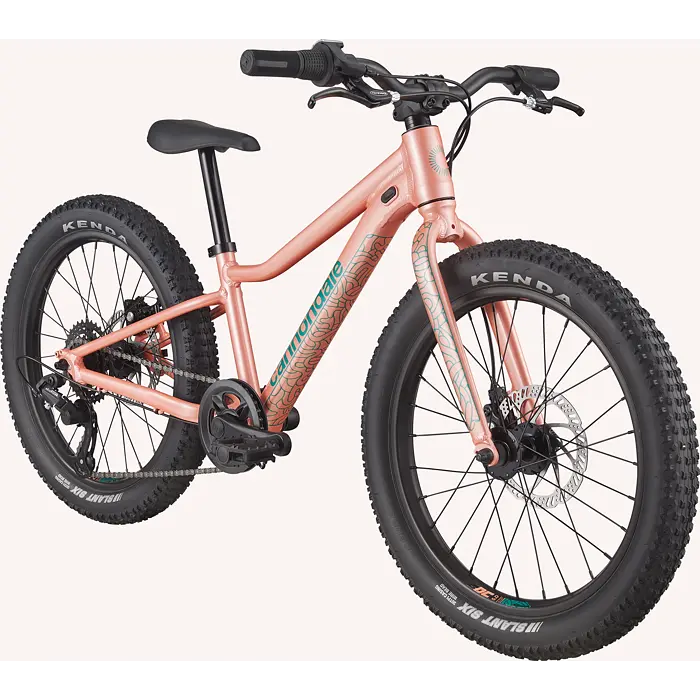 Dětské horské kolo Cannondale Trail Plus 20