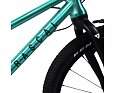 Dětské kolo Rascal 20 Limited