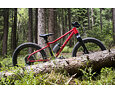 Dětské horské kolo Rascal Wild 20